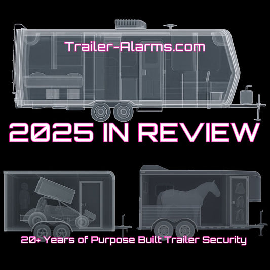 2025 in Review
