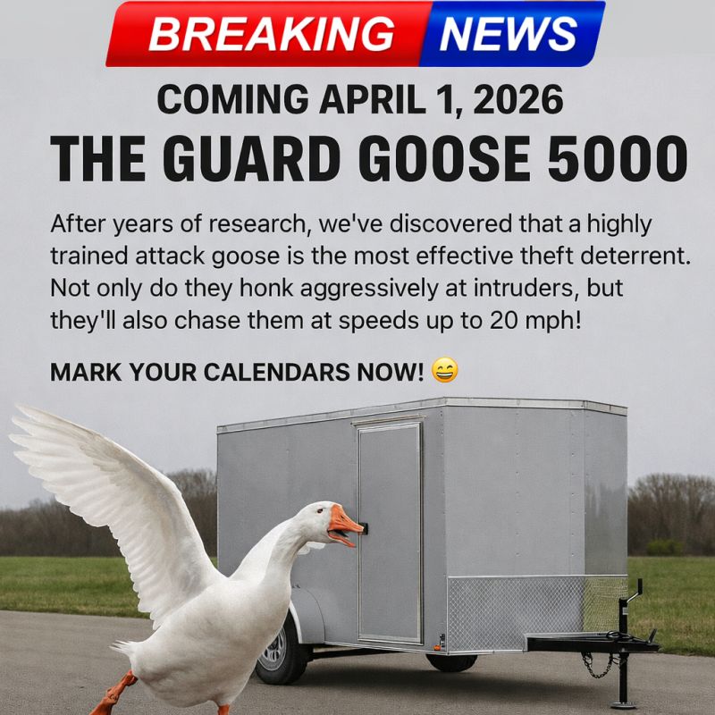 New in 2026