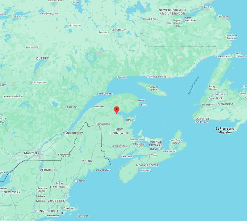 Customer ordered more