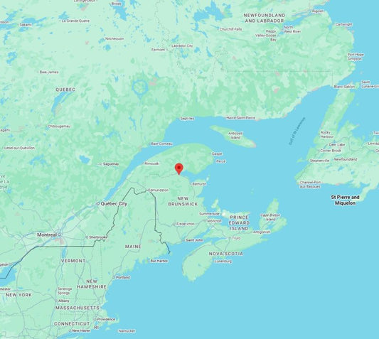 Customer ordered more